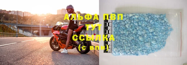 сатива Кинешма