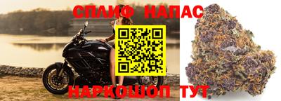 apvp Краснодар