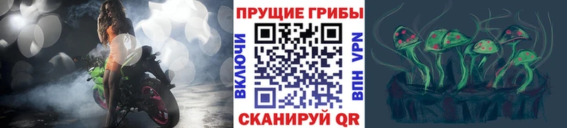 Псилоцибиновые грибы Psilocybine cubensis Камышлов
