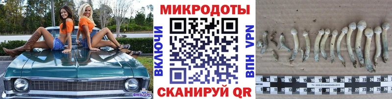 дарк нет официальный сайт Камышлов Галлюциногенные грибы мухоморы