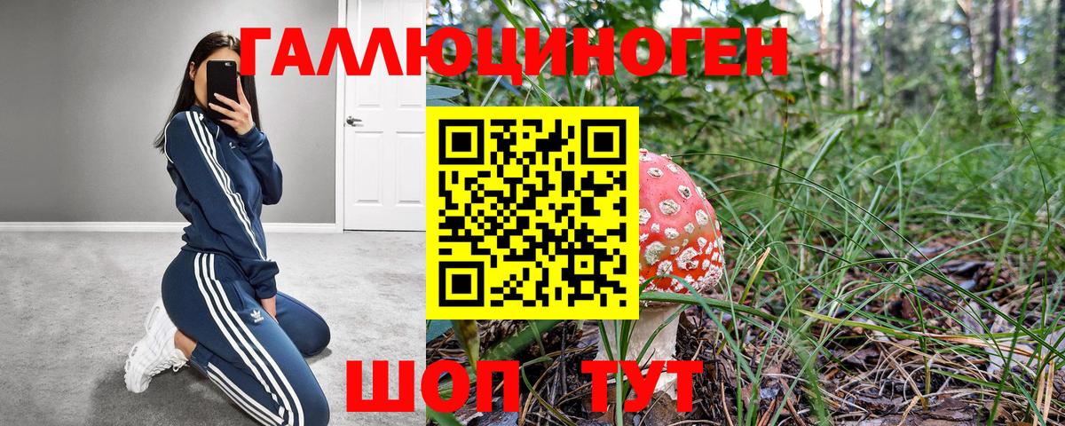 Галлюциногенные грибы MAGIC MUSHROOMS Камышлов