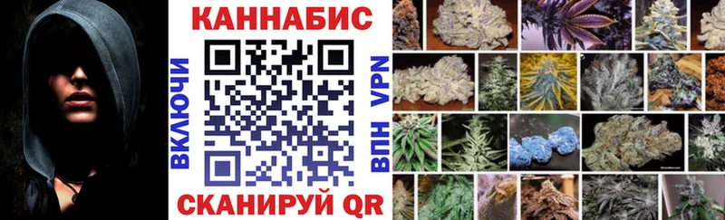 Бошки марихуана индика  MEGA tor  Камышлов 