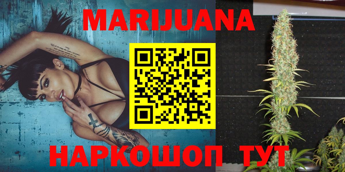 Камышлов  Шишки марихуана OG Kush  Вход с VPN  МАРИХУАНА White Widow  Бошки марихуана план 